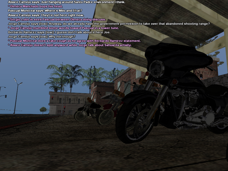 ssroleplay1249.png