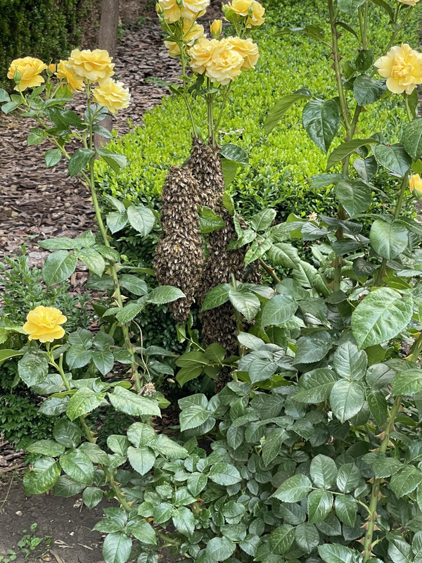 7CA3B840-61DA-4356-B7FE-94736CE6F20E