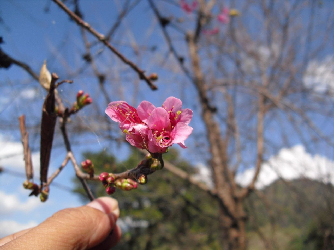 photo 28 2025 12 24 16 04 46