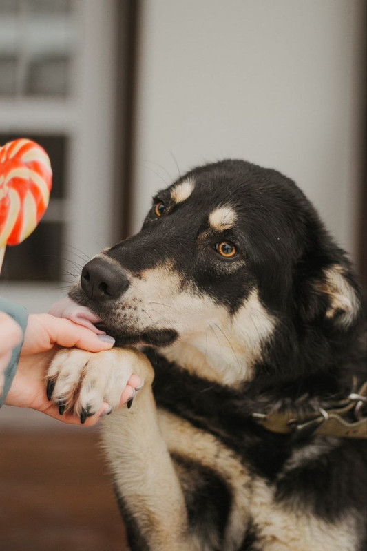 photo_2023-03-16_21-38-06