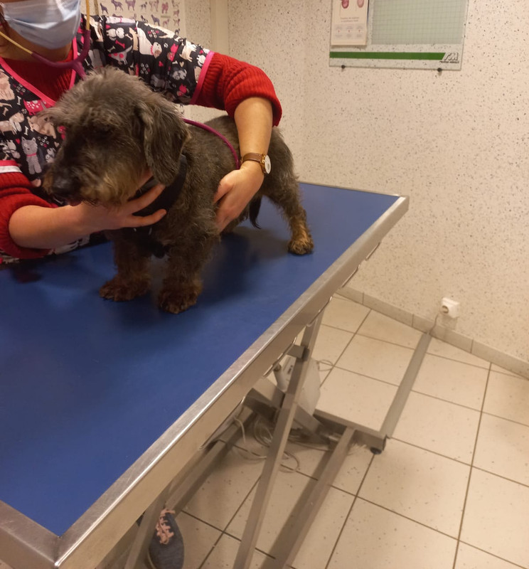 [Image: 20211217-194419.jpg]