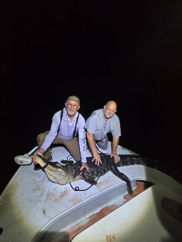 2026 gator hunt