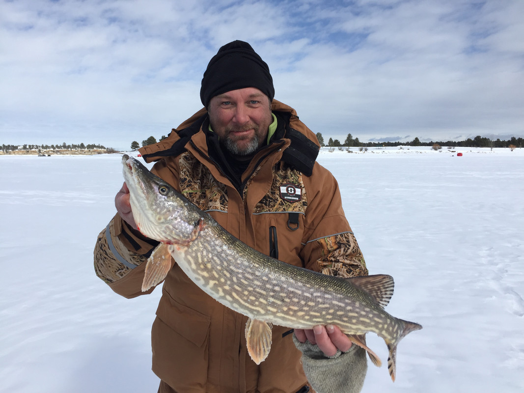 318B9CD8-B089-49E0-B887-19142E5FA6CA