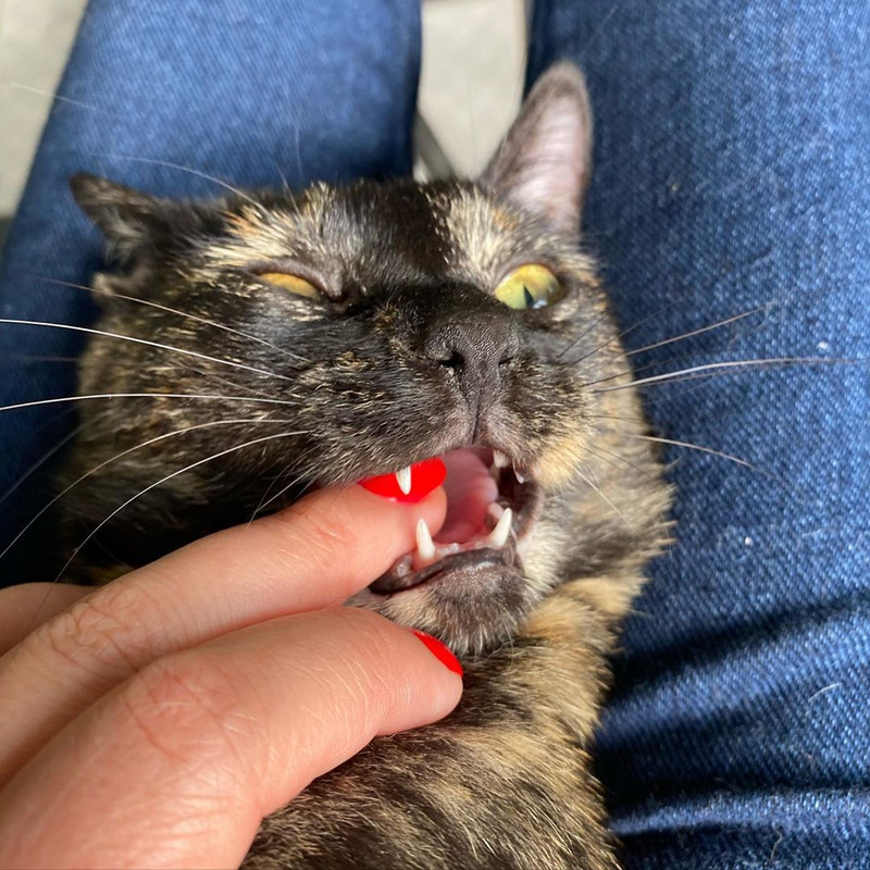 8052EBB9-111C-4EA3-B335-FB591B516F28