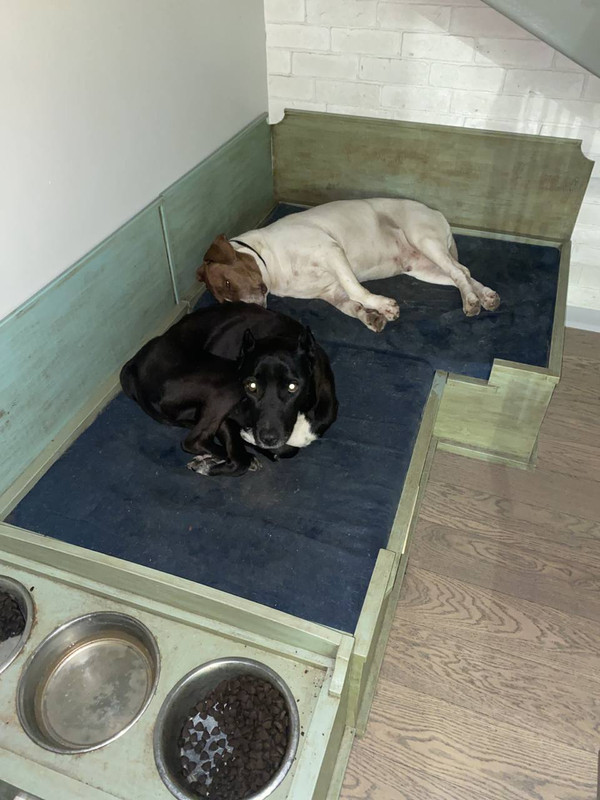 A9336560-26A0-4874-8174-0B0F3A6D74A9