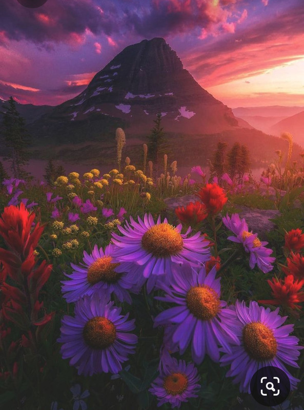 Screenshot_20231014_215400_Pinterest