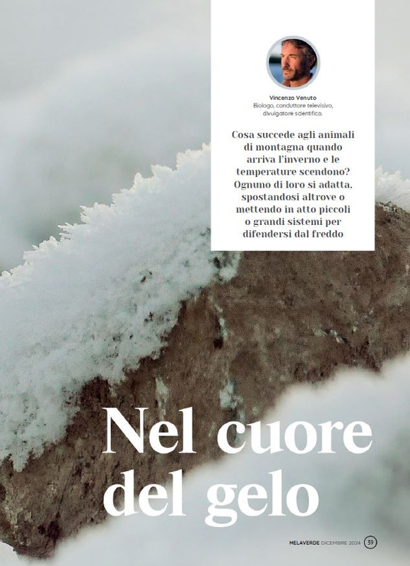 melaverde Dic 2024 (2)