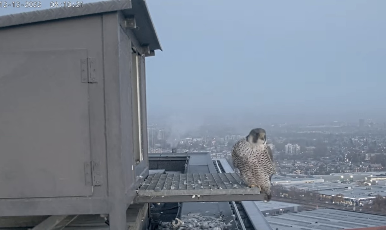 94828991-C439-4504-844C-7631A7CC7A98