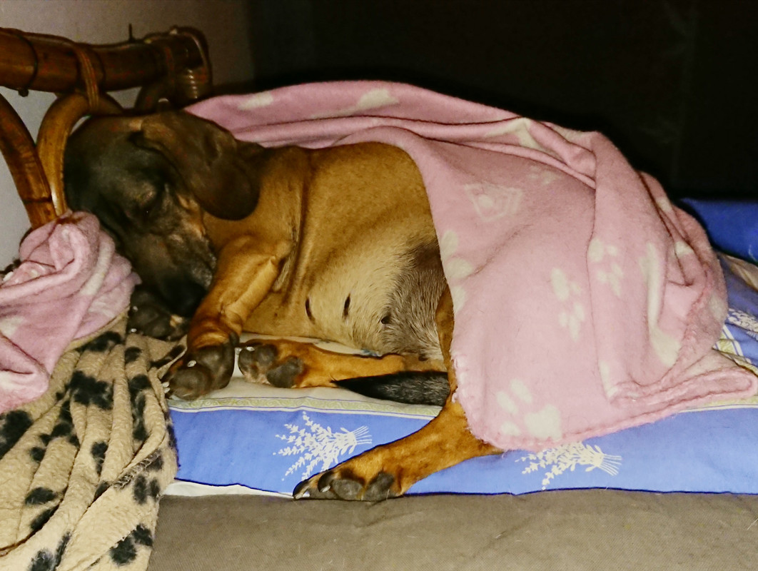 [Image: 20220811-214313.jpg]