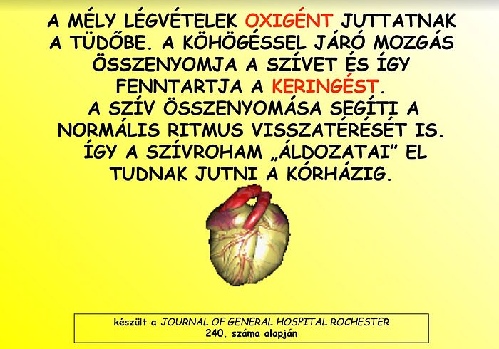 https://i.postimg.cc/hPw9j2rH/hogyan-lehet-6.jpg
