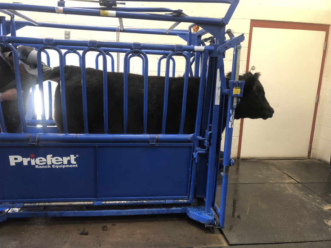 F32794EA-5BEE-40CC-8929-16F0E1EF032A