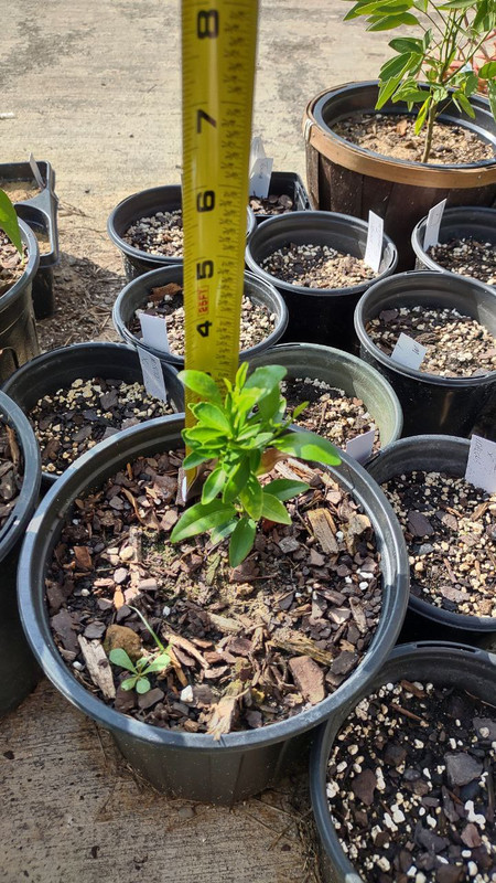 photo_2025-07-23_09-30-07 (3)