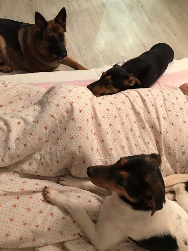 8109074E-DCC3-4F3E-B014-3F2146C16E54