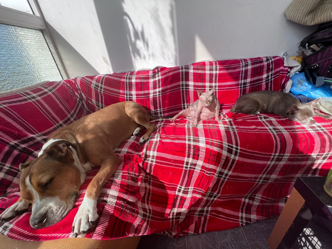 AF84D42C-C30E-4B69-9EE7-A78D0812DF4D