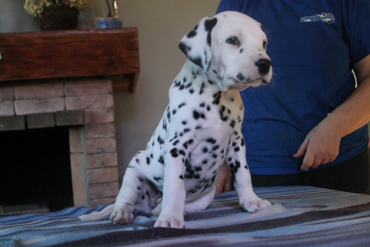 Символ Удачи