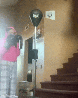 punching-bag-sh.gif