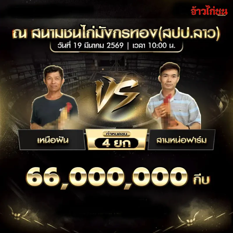 โปรแกรมไก่ชน คู่เหนือฝัน vs สามหน่อฟาร์ม สนามชนไก่มังกรทอง