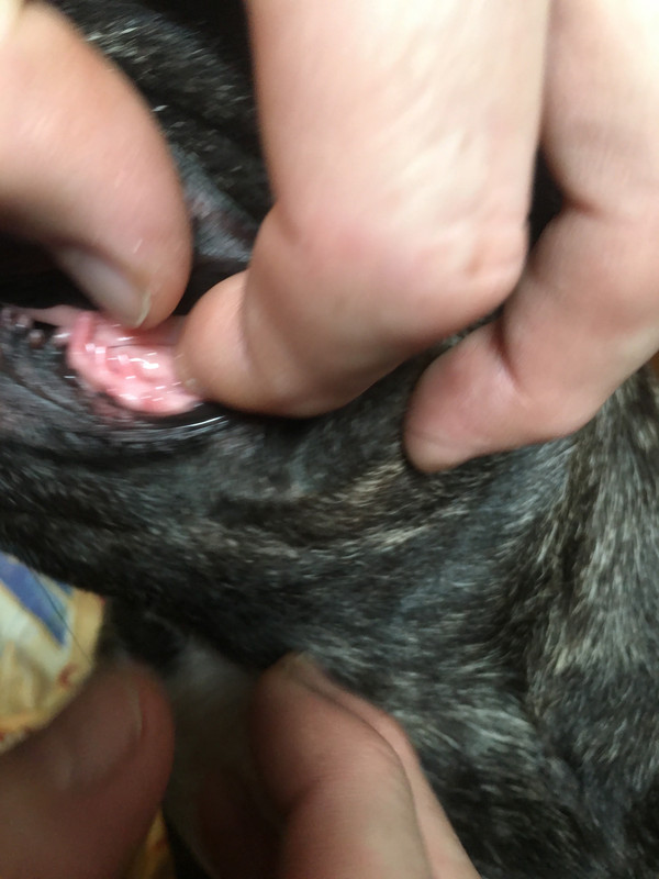 6BD133AF-793B-413A-95FC-4CEC87E58DCB