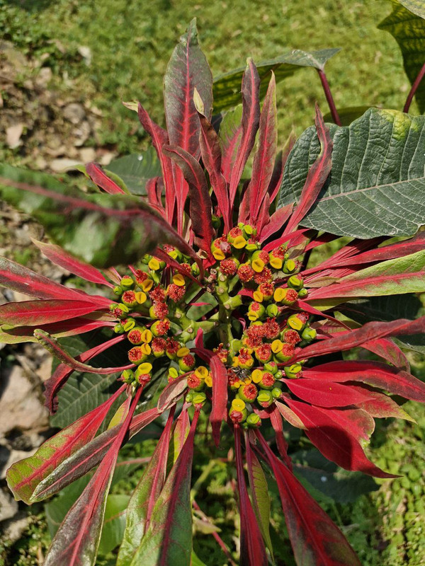 IMG_20240418_084250_079