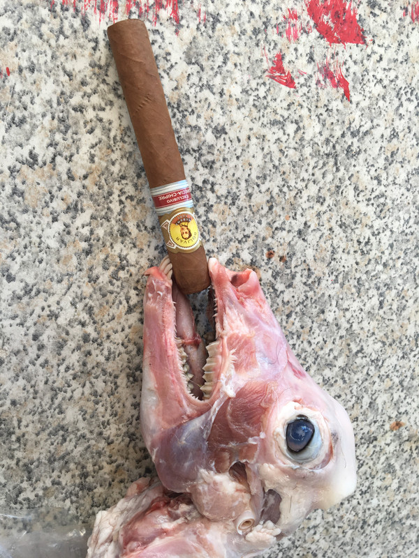 B5673E14-E207-4F57-864B-D715A5016485