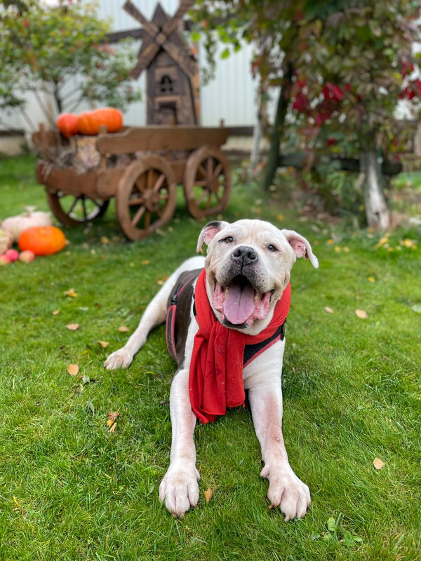 F2D27169-2EEC-4B2F-8689-FAC9DEBF87BA