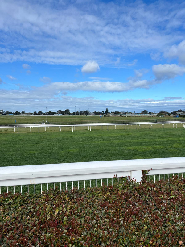 Photo 10-9-2025, 9 26 00 am (10)