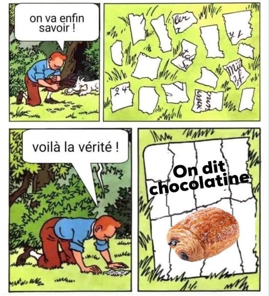 text alternatif
