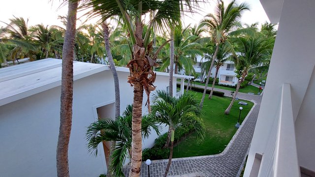 DIA 2 – HOTEL RIU BAMBU Y PARQUE ACUATICO - Hotel RIU Bambú + Isla Saona + RIU Party (3)