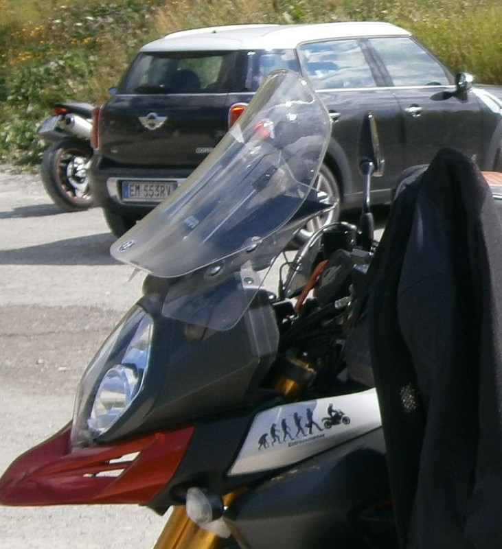 REGRESO POR LOS ALPES (8)