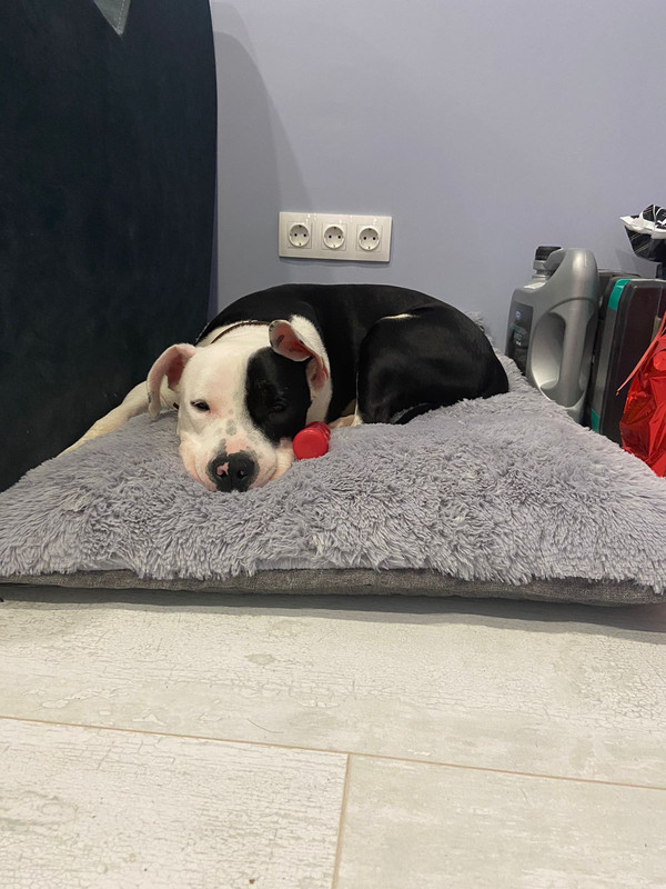 B2F86646-6DB6-46EC-AA50-AF0F23CFE933