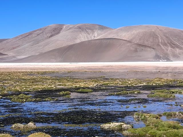 RUTA DE LOS SEIS MILES. BALCON DEL PISSIS Y LAGUNAS NEGRA Y ESMERALDA - ARGENTINA INFINITA II/ TORRES DEL PAINE (9)