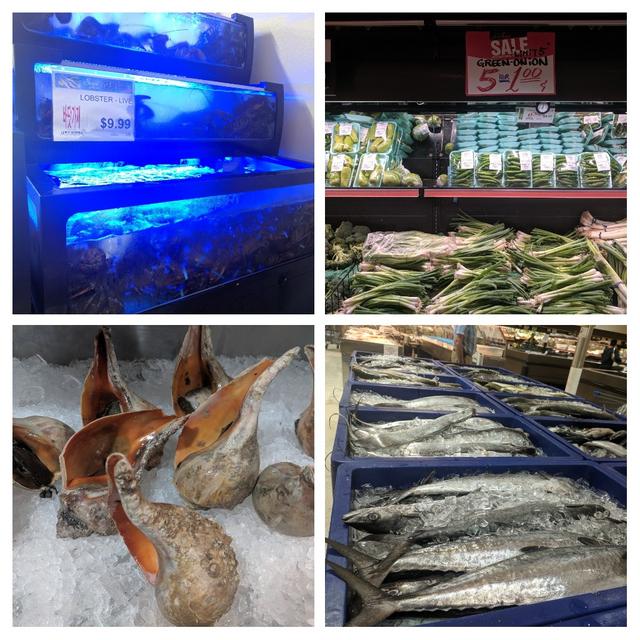 [Image: 20190624-103609-COLLAGE.jpg]