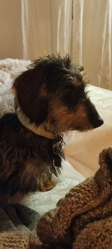 [Image: IMG-20241110-WA0015.jpg]