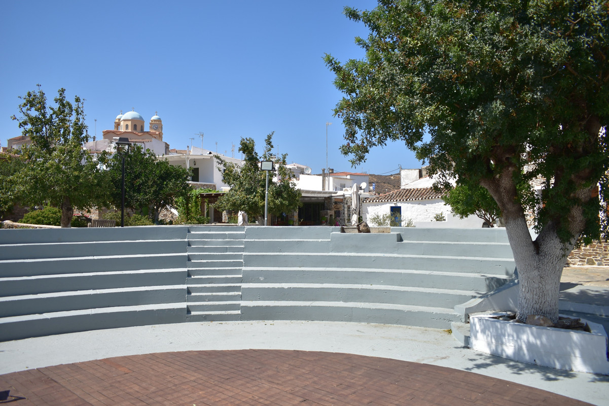 Δρυοπίδα (30)