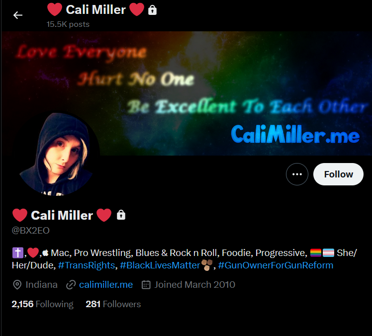 Calli Miller twitter profile calling herself a progressive with the hastags trans rights, BLM and gun owners for gun reform
