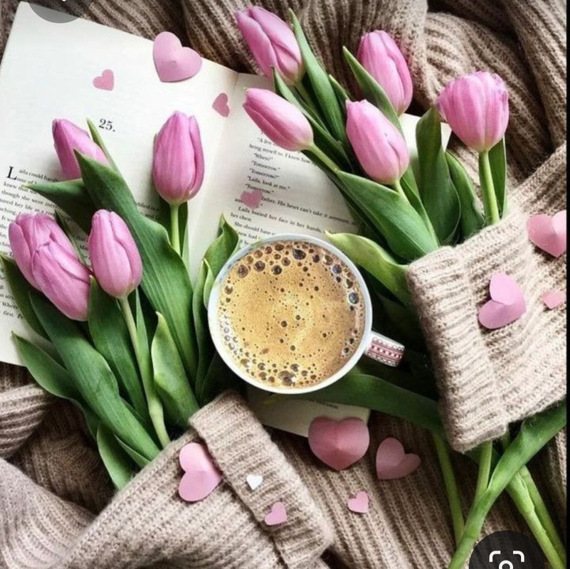 Screenshot_20230517_002524_Pinterest