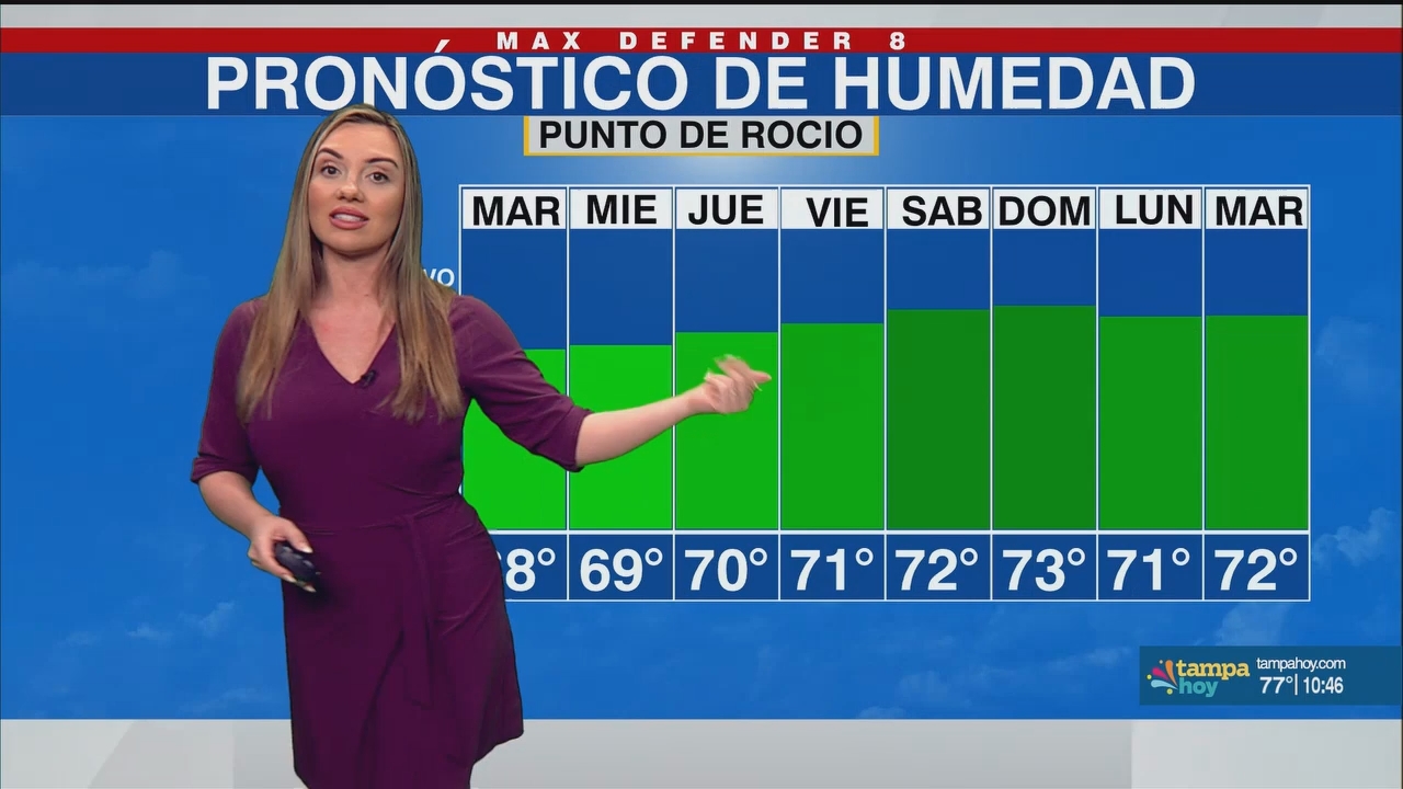 Noticias Tampa Hoy_20250513_03300400.ts_snapshot_17.50.712