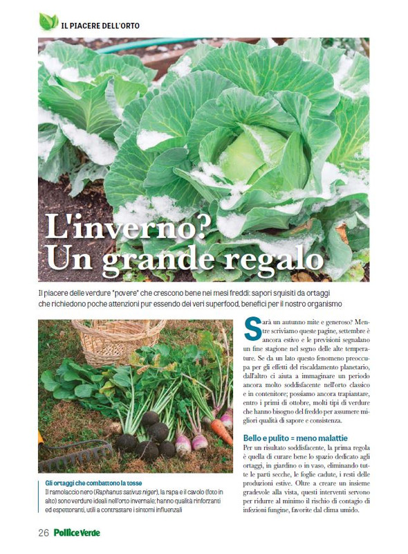 Pol Ver Ott-Nov 2023 (7)