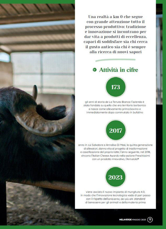 melaverde Mag 2023 (12)