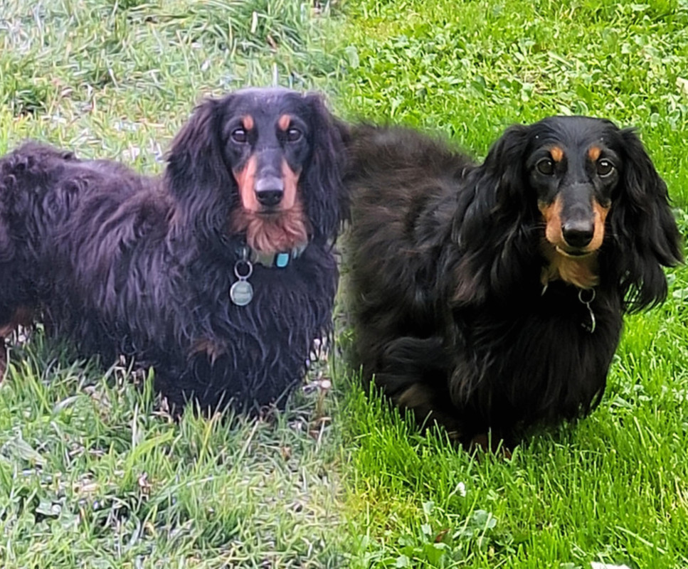 [Image: In-Collage-20241008-133726396.jpg]