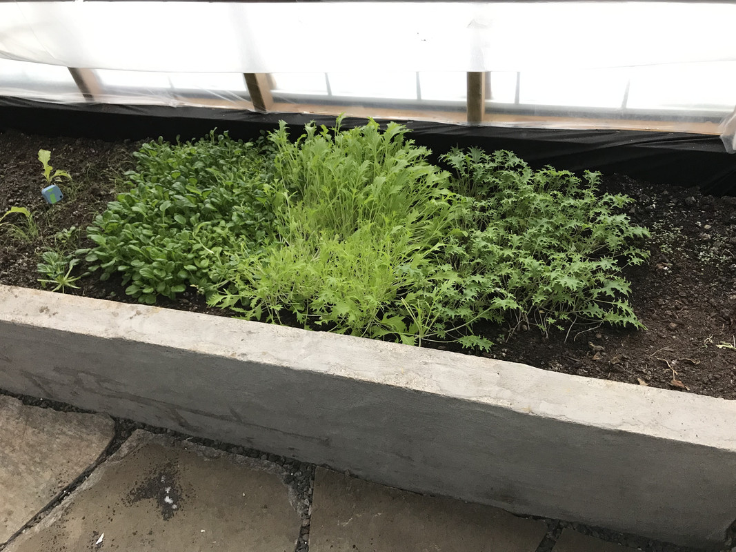 91AB6841-0AB8-4B63-BAC1-0E7B458335C8