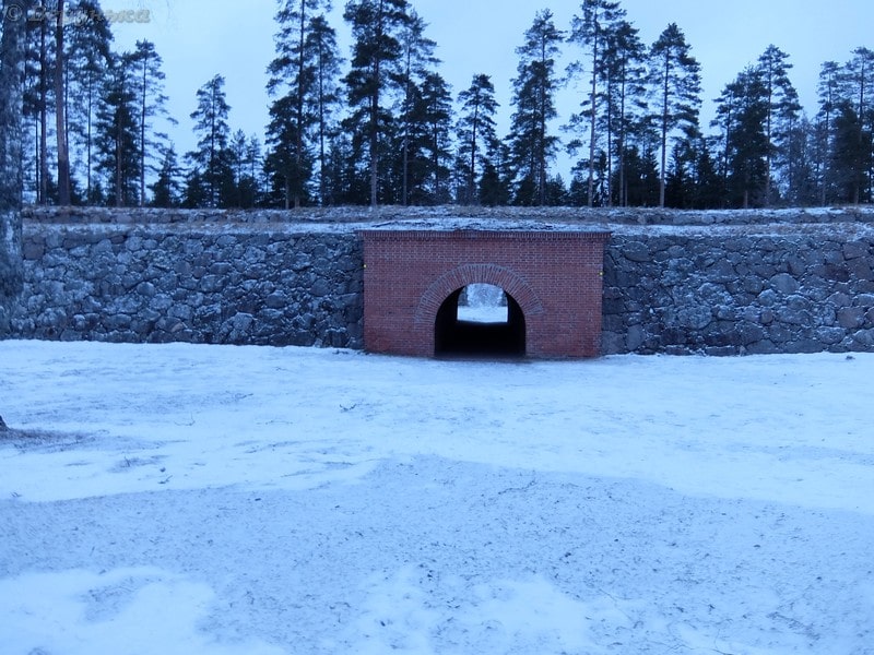 DSCF6498