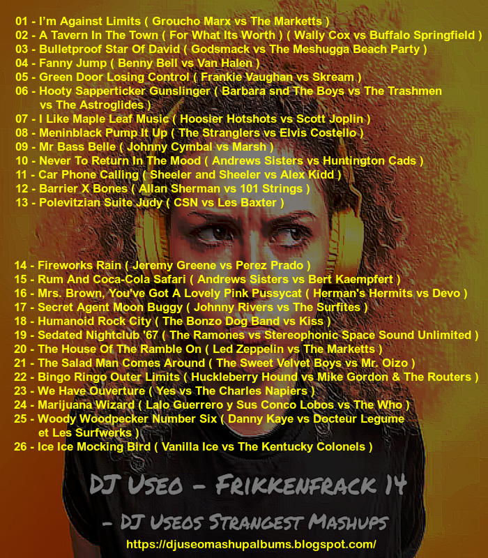 DJ-Useo-Frikkenfrack-14-DJ-Useos-Strangest-Mashups-back1.png