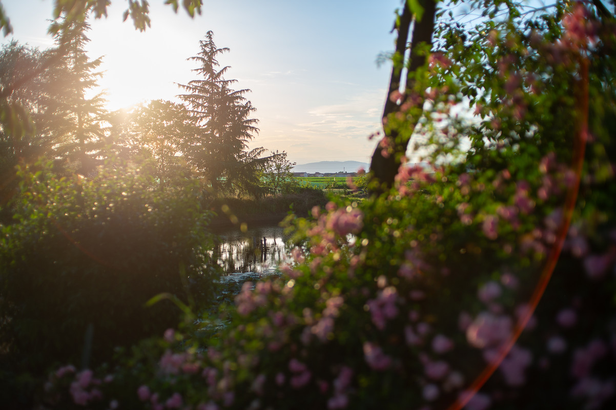 0EBFCC47-69F7-4896-953B-8C7A3947F1E5