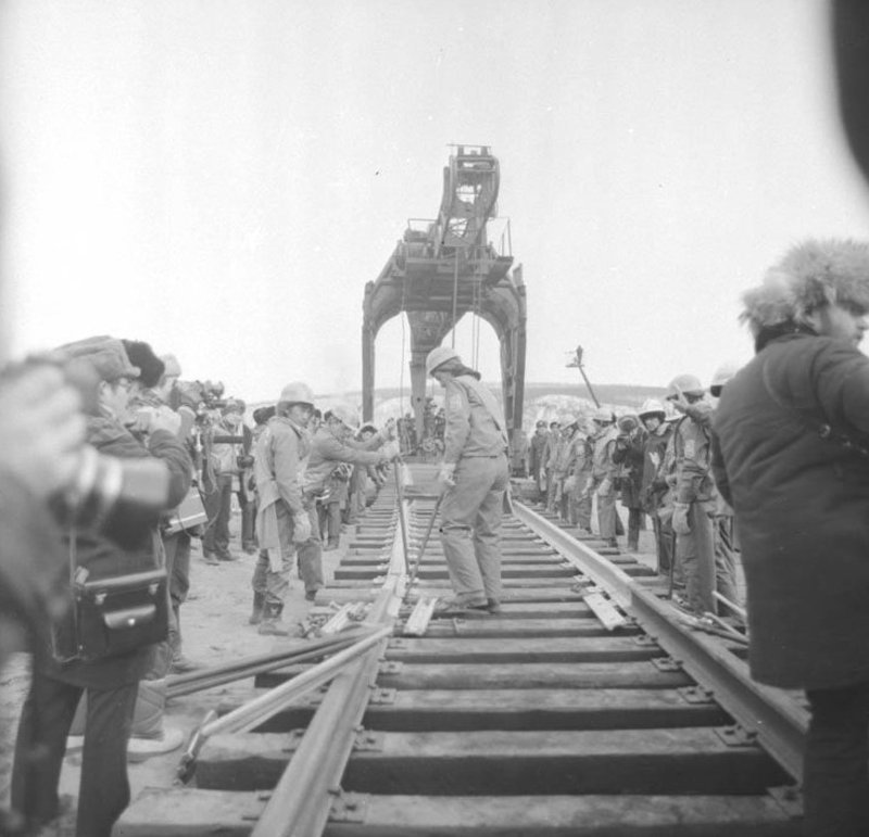 Серебрянное звено Серебрянное звено