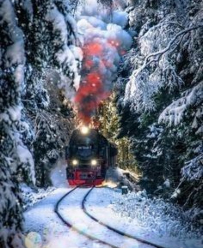 Screenshot_20221204-211825_Chrome