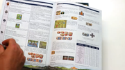 Odin-Dutch-rulebook-screenshot-(18)