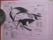 IMG-5138.jpg