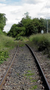 S1470160