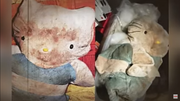 hello kitty 24 torture et murder case involontaire